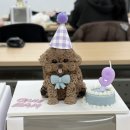 내 손으로 만드는 강아지 케이크