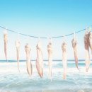 상아무역 이미지