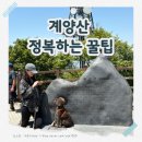 정문김밥천국 | 인천 당일치기 추천, 계양산 등산코스·주차장 꿀팁 후기