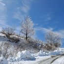 초원의 언덕 이미지