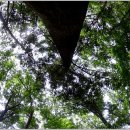 시티은행 앞 이미지