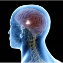 주성메디칼 이미지