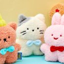 짱인형 SHOP 이미지
