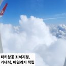 25년 5월 포르투갈 여행기 / 터키항공 좌석지정, 기내식, 마일리지 적립