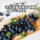 뽀승농장
