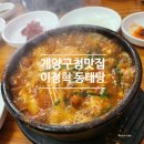 계양동태탕 | 계양구청 맛집 이정혁 계양 동태탕 내돈내먹후기