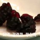 고전식품