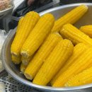 WR(인천광역시 서구)-[로봇랜드로249번길]-하-8 | 일상 : 6월