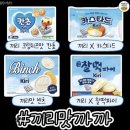 [뽀글한 일기] 다시 시작해보자 (230824목~230908금)