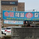솔잎해물손칼국수