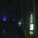 대숲사이 이미지