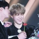 장미꽃사이로 이미지