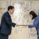 정정미