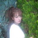 정연