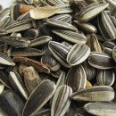 무진목욕탕 이미지