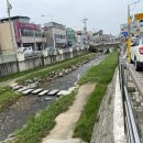 천일식당 이미지