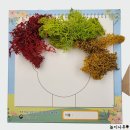 태안환경개발(주) | <능동적인 학습의 힘, 구성주의 교육설계> 더불어 살아가는 숲교육 환경교육 교구개발