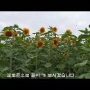 하모리-15 이미지