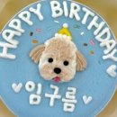 테이스팅독 이미지