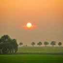 자연과 나 이미지