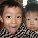 추연학 Daum카페