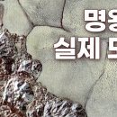 실제 명왕성 모습 ( 실제 명왕성에 근접해 촬영한 사진 이미지