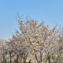 세븐일레븐수원화서역점 이미지