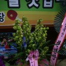 상록우리들탁구장