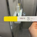 임신테스트기 종류별 사용시기 사용법 역전, 원포 얼리 쓰리라인 임테기 난황 아기집