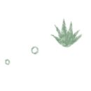 바디퀄리티 이미지