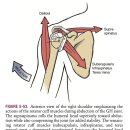 박제성 운동케어 CHI & FIT 퍼스널 트레이닝 이미지