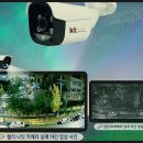 종로칼라 이미지
