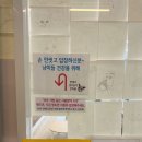 율하냥 | 경남 김해 가볼만한곳 고양이카페 율하냥