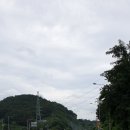 안산동(시경계) Daum카페