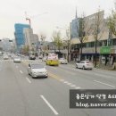 서구애견센타 이미지