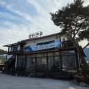 오리사냥 | 감기 몸살 후 찾은 구미백숙맛집, 천생산오리사냥 솔직 후기