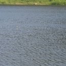 송라낚시터 이미지