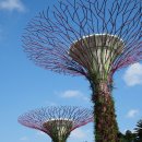 J.SUN 호스텔 | 싱가포르 핫플명소 낮풍경 모음(가든즈 바이더베이, 머라이언 공원, 마리나베이샌즈 등)