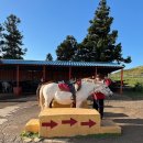 휘닉스명진 이미지