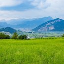 초지축산 이미지