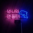 흰고래스튜디오 | 거제 돌고래 벨루가가 있는 '거제씨월드' 아이와 가볼만한 곳