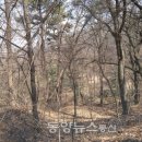 기쁨뜰근린공원 동양뉴스