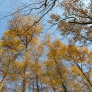 하도리 경로당 이미지