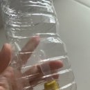 과학영재그래비트랙스 이미지