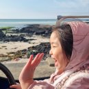 장보해맞이 어린이 놀이터 | 제주 김녕깡통열차 후기 아이들이 정말 좋아했던 체험