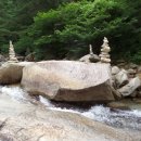 곡성-246 이미지