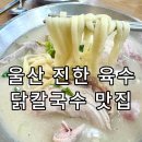 울산 북구 명촌 맛집 언양닭칼국수 명촌점 솔직후기