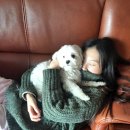 즘골마을 이미지