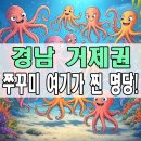 남방낚시터 | 경남 거제 도보 워킹 쭈꾸미낚시 루어 원투 잘잡히는 포인트 추천