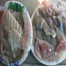 용인실내바다낚시터 이미지